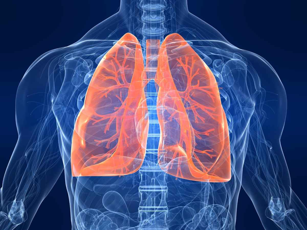 Pulmonary Fibrosis | Stemaid™ : Pluripotent Stem Cells