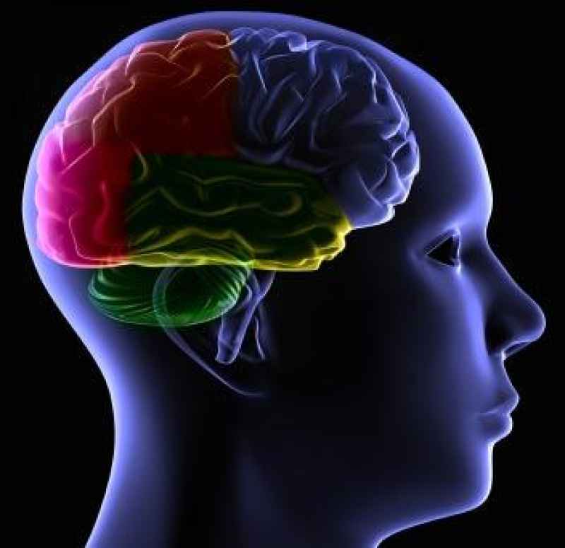 brain stem cell treatment cost brain stem cell treatment cost