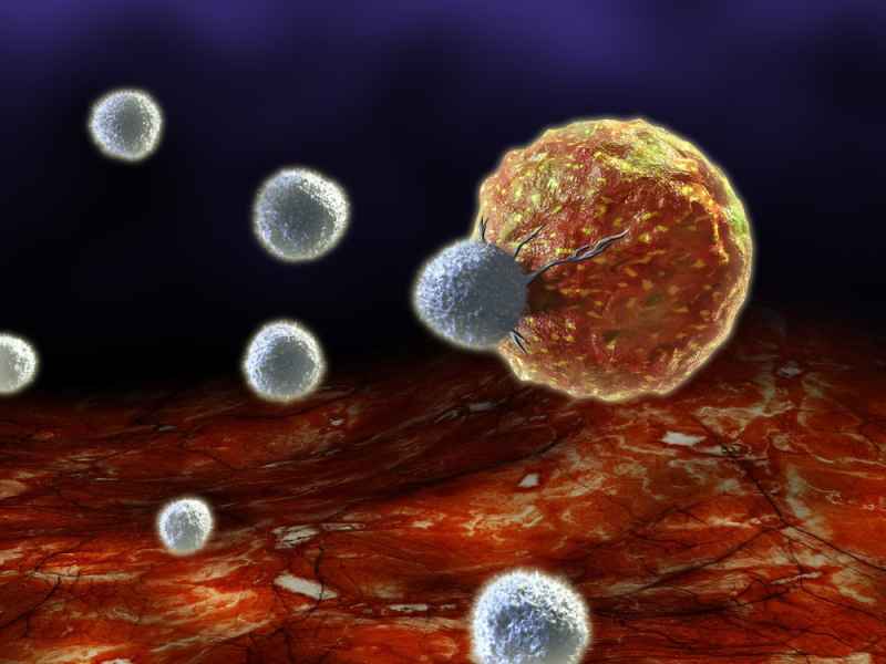 Chemotherapy can backfire and boost cancer growth: study