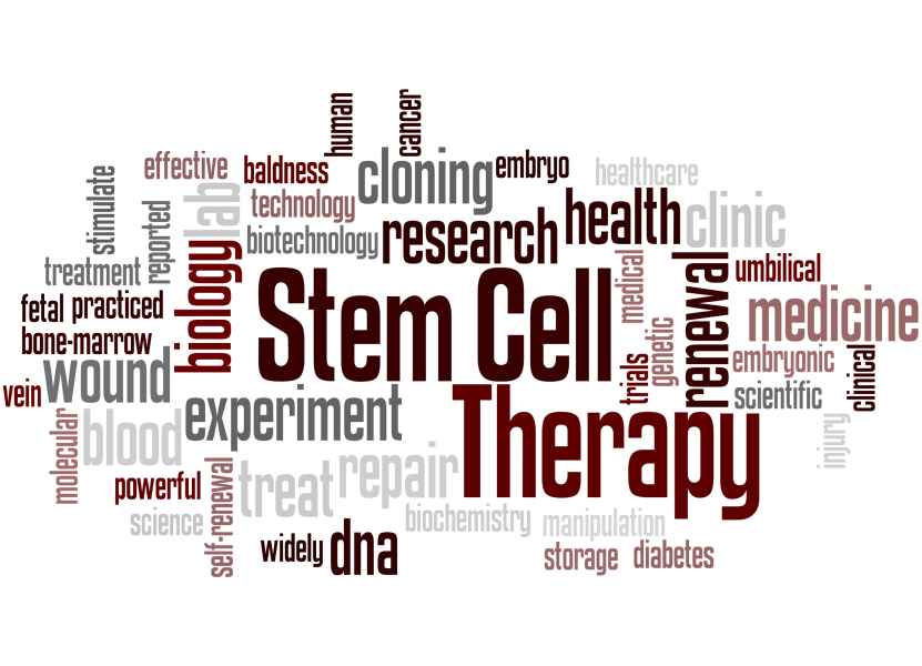 How Does Pluripotent Stem Cell Therapy Differ From Other Stem Cell Therapies?