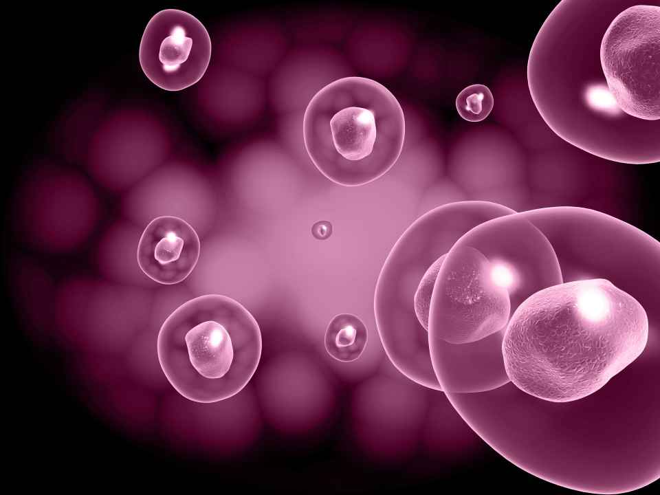 Stem-cell Types | Stemaid™ : Pluripotent Stem Cells