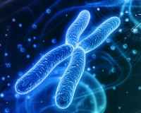 Stemaid™ : Pluripotent Stem Cells